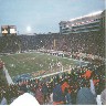 bearsgame04.jpg (87249 bytes)