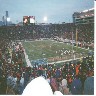 bearsgame05.jpg (88477 bytes)